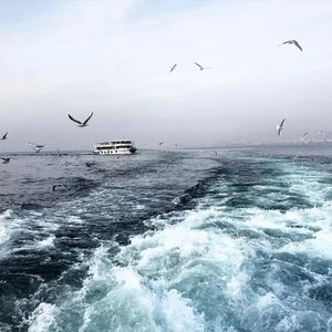 扒开美女狂揉❌桃花源
