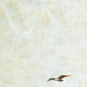 扒开美女狂揉❌桃花源
